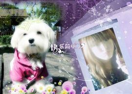 小小唯美&amp;a主播照片