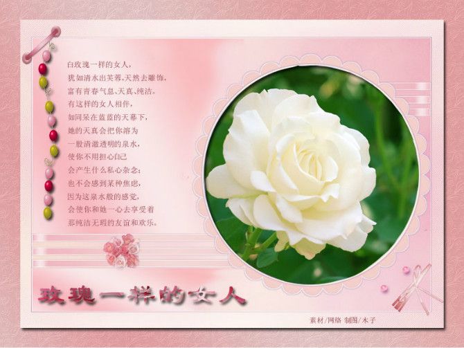 豆芽菜，良主播照片