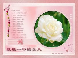 豆芽菜，良主播照片