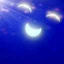 星雨灬♥福的图片