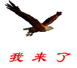 ㊣︶ㄣ毛毛虫ゞ主播照片