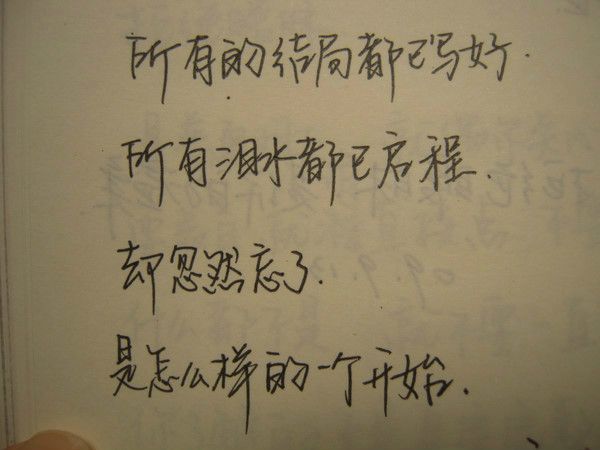 ┵花と葬主播照片