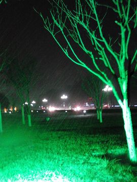 雨中丽人主播照片