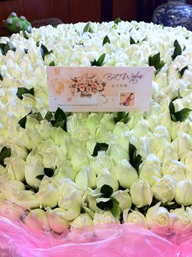 花の下主播照片