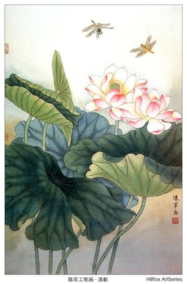 我的明天在哪主播照片