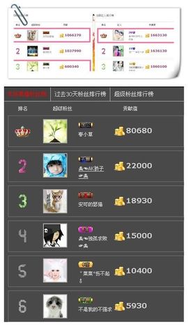 一只小安可主播照片