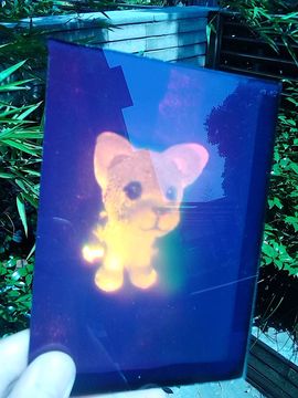 衍射光波导主播照片