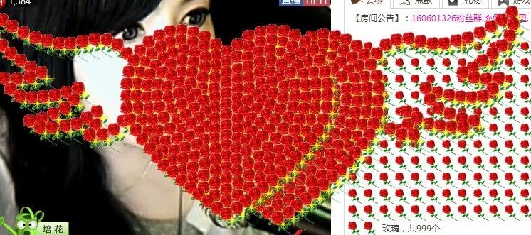、冉冉。的主播照片