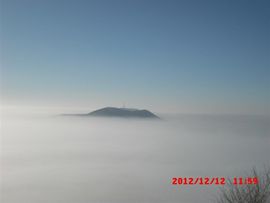 雨荨5198主播照片