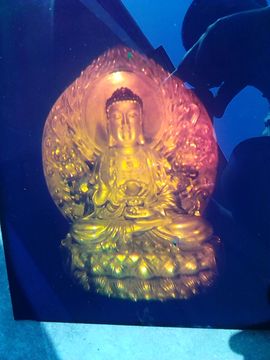 衍射光波导主播照片