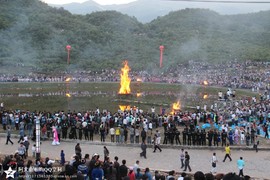 彝家索马花主播照片