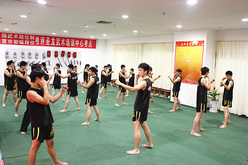 东营武术、圣龙武术的主播照片