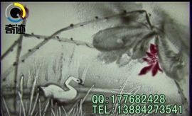 成都年会沙画表演主播照片
