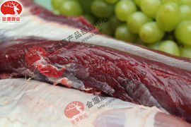 金源鹿业主播照片