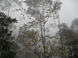 ≮舞魅ミ乐哥≯主播照片