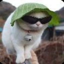 W草原狼W海报