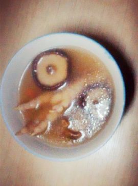 ☜xu、和尚☞主播照片