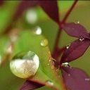 ◎℃叶吻雨¤海报