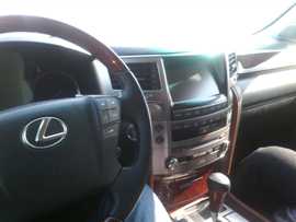 〆物以类聚.人以群分主播照片