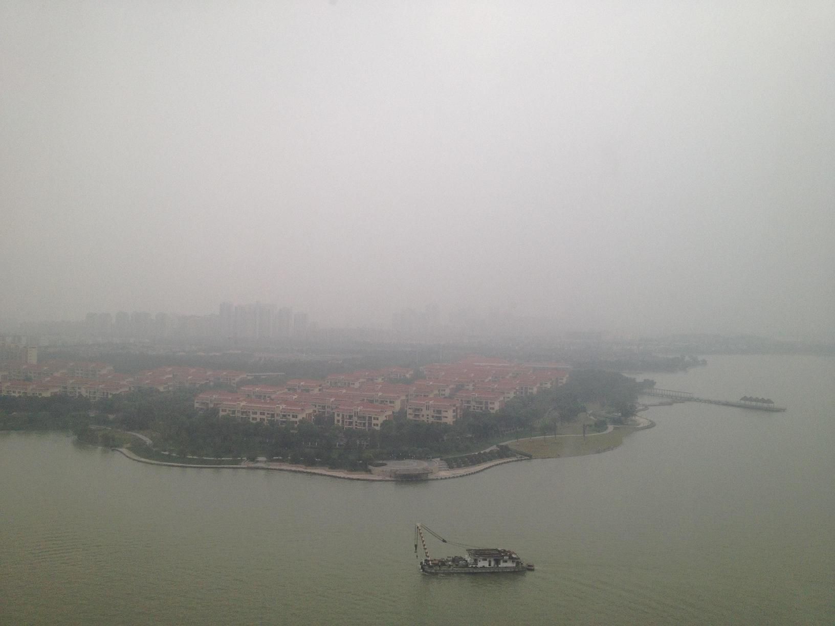 D_L的主播照片