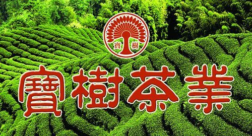 云雾山里茶飘香的主播照片