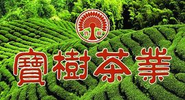 云雾山里茶飘香主播照片