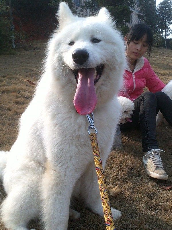 a以爱的名义的图片
