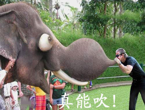 ╰︶￣♥小僧真空丶〆主播照片