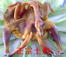 xiaopapa主播照片