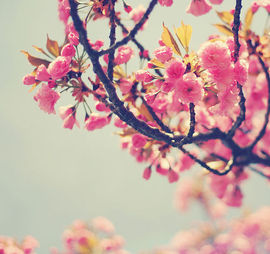 〓✿叶馨⊰〓主播照片