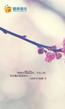 穿越时空@主播照片