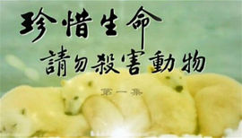 修清净平等觉主播照片