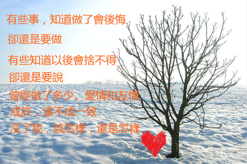 -罒3罒-軒軒的主播照片