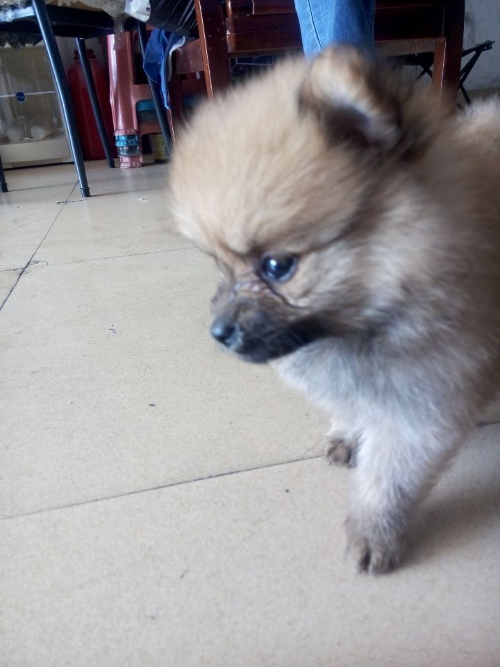 1525363592的主播照片