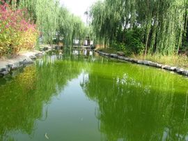 维我心动、、、主播照片