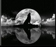 κiξs➴红尘梦无殇的主播照片
