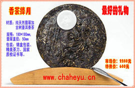 远声188主播照片