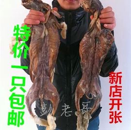 安静趴着主播照片