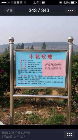 安娜。。。。主播照片