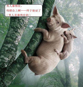 傻宝啊“”~~~主播照片