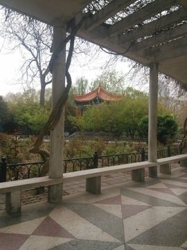 依然.May主播照片