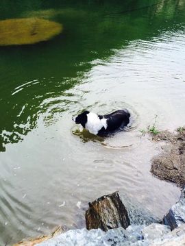 ♥╭静♥静♪♥主播照片