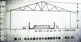 中法肉牛养殖场主播照片
