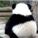 西门庆爱武二郎