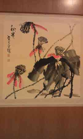 瑞木林莎主播照片