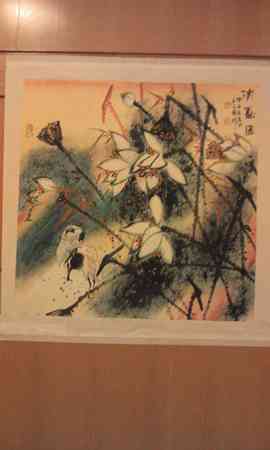 瑞木林莎主播照片