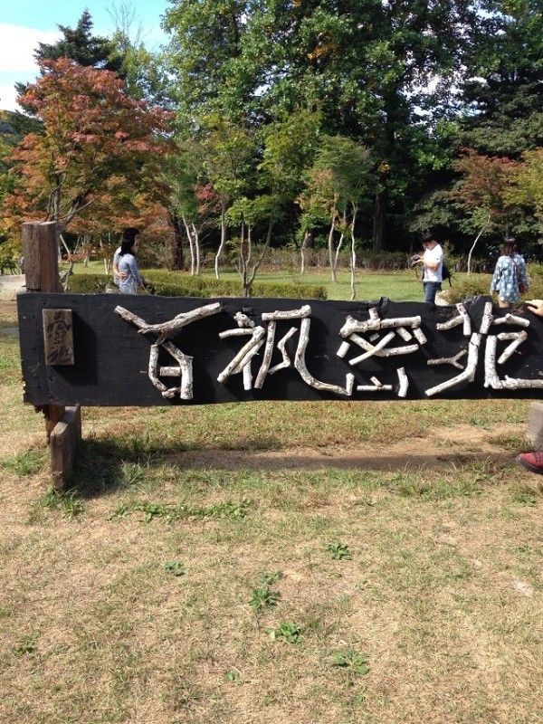 姐···治愈主播照片