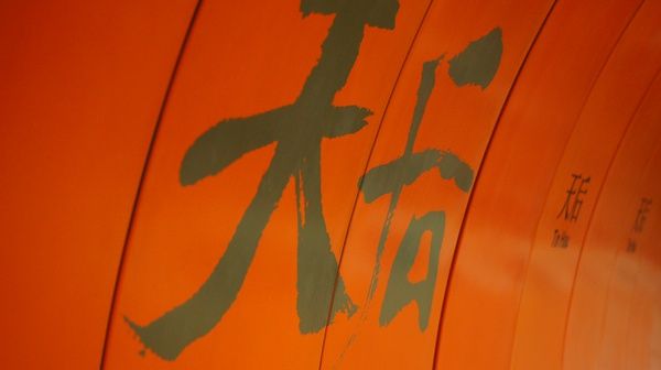 姐···治愈主播照片