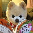 晏可可