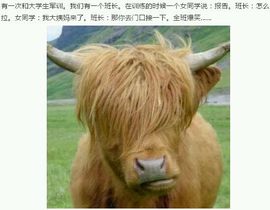 挂机机器人主播照片